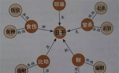 十神 八字|八字里的十神怎样解读 (怎么看自己的十神格局)